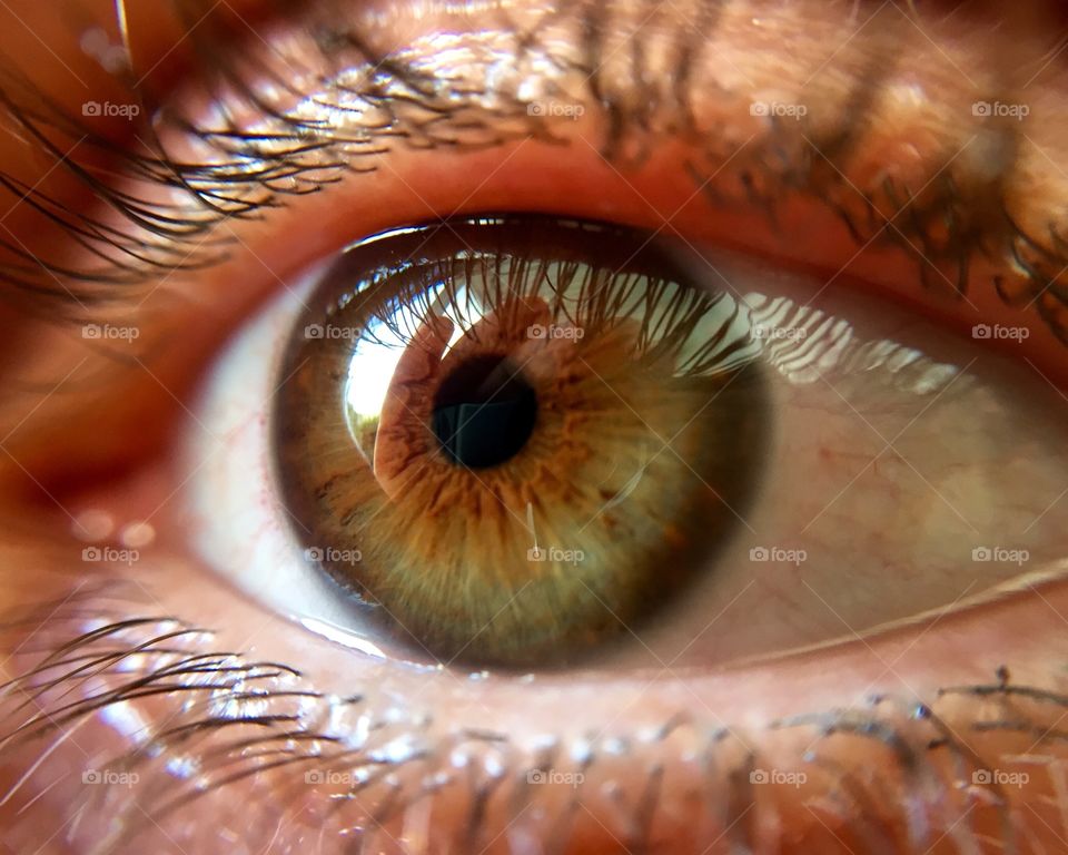 Close up of human eye 