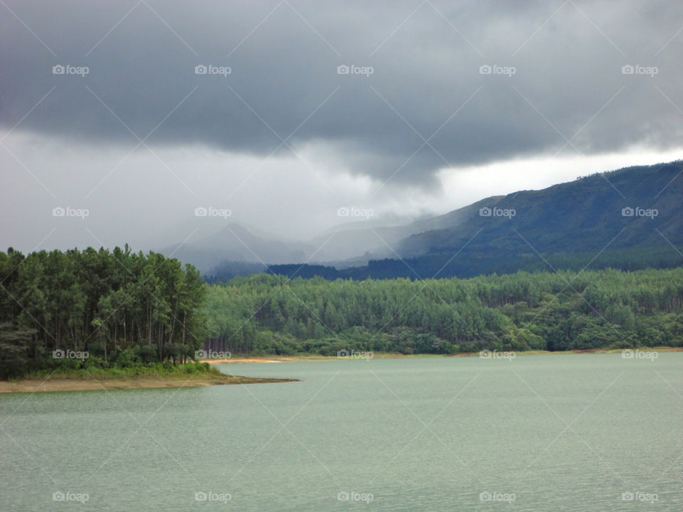 lake forrest rain pines by jvukelja