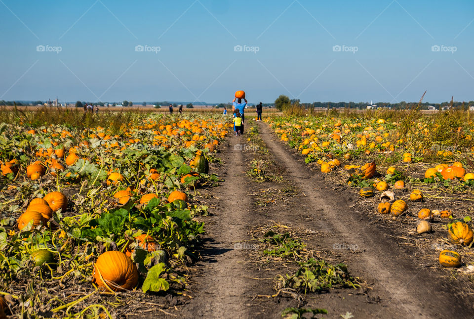 family on farm