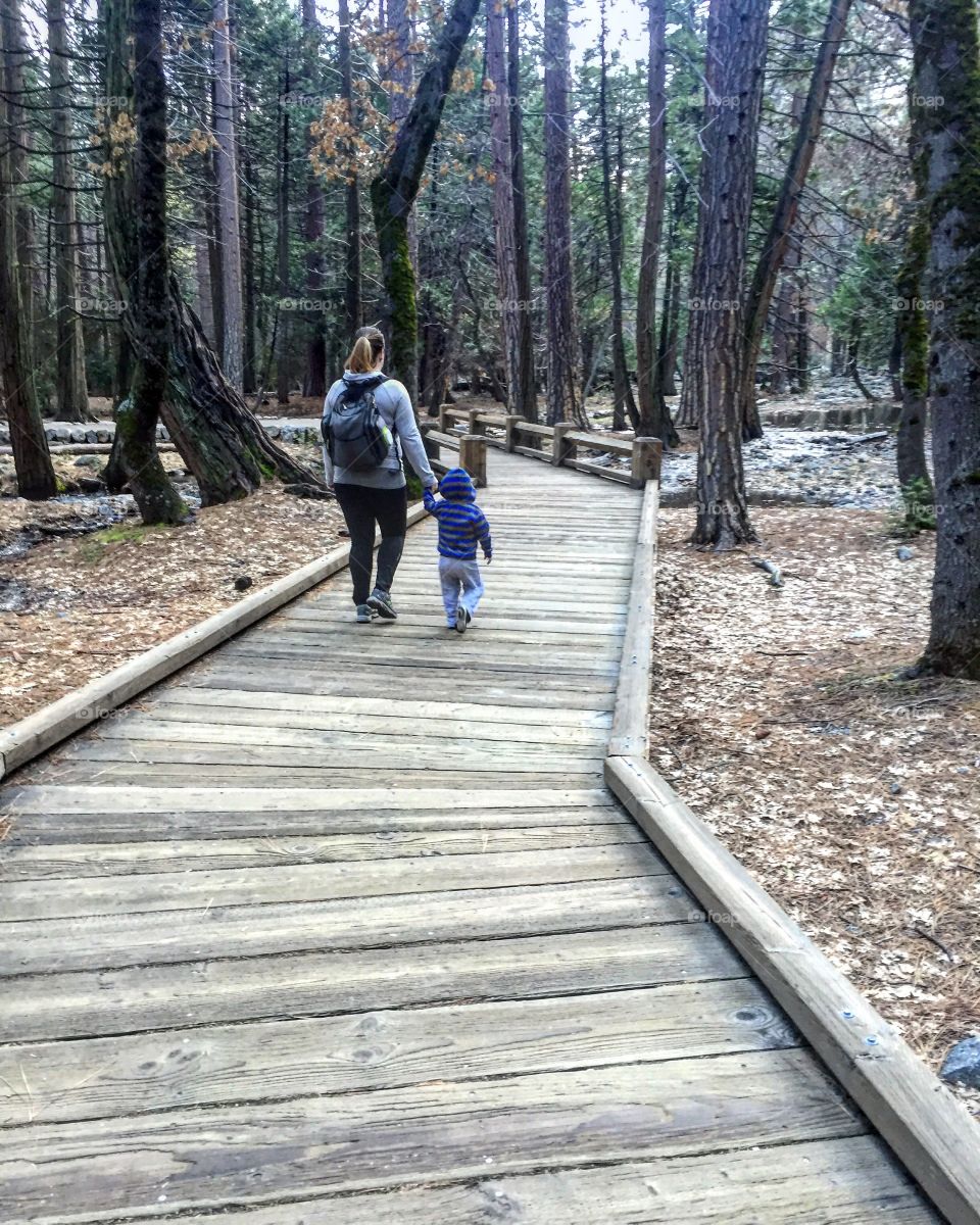 A Path through Nature 