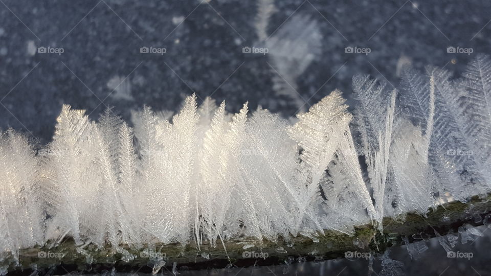 Ice feathers on a stick
