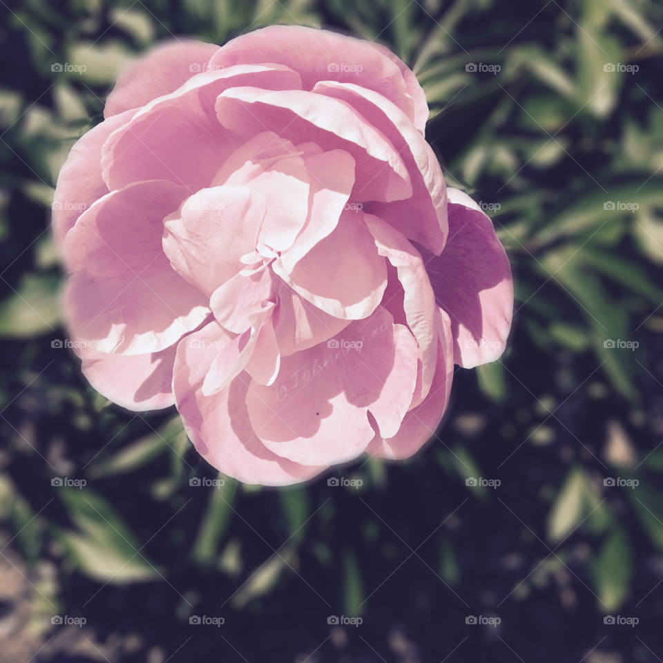 It's amazing how a person who was once just a stranger, can suddenly mean the world to you.