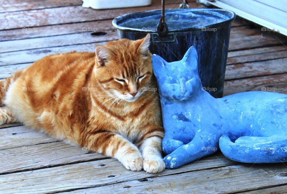 Chachi with cat statue