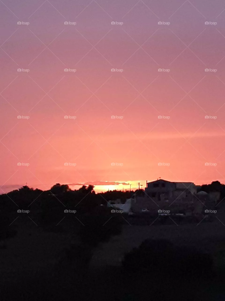 sunset