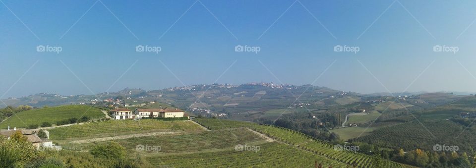 Landscape in Barolo (Piedmomt)