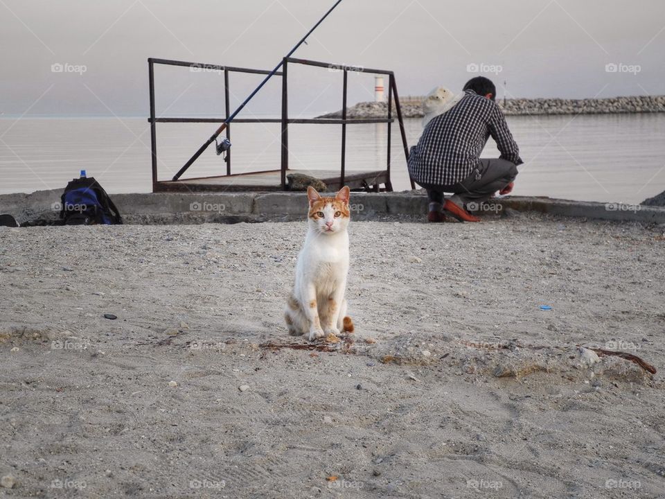 Fishing with a cat. 