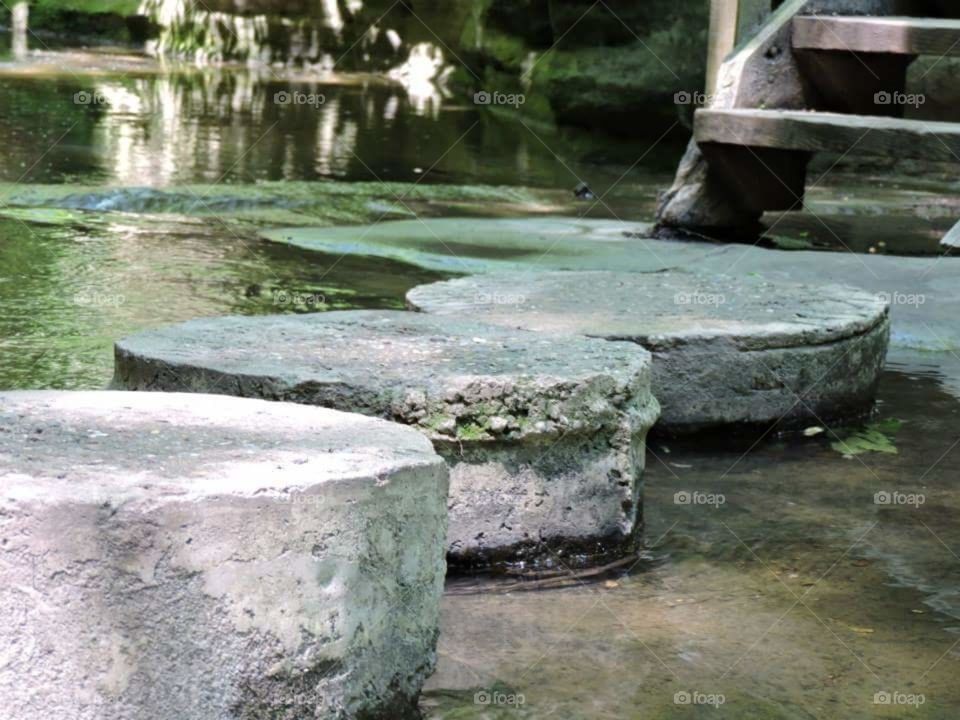 tranquil stepping stones