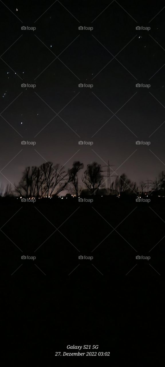 Did you see the same as in the Tree's?