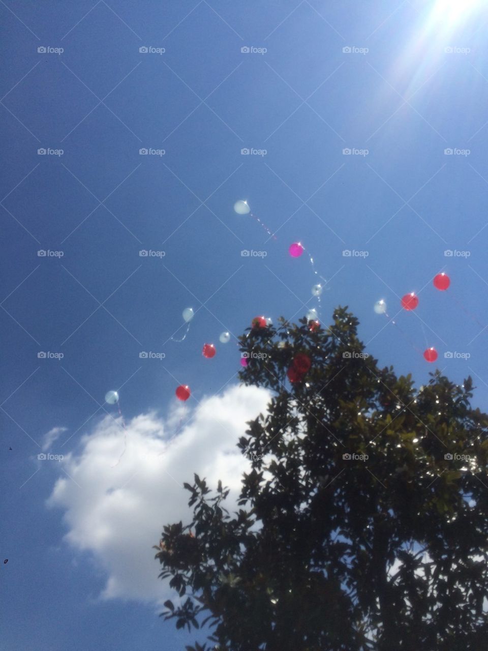 balloons at funeral . These are the balloons we released at my grandfathers funeral. 
