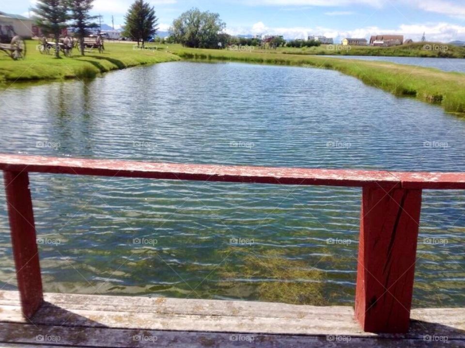 Pond fishing off the dock