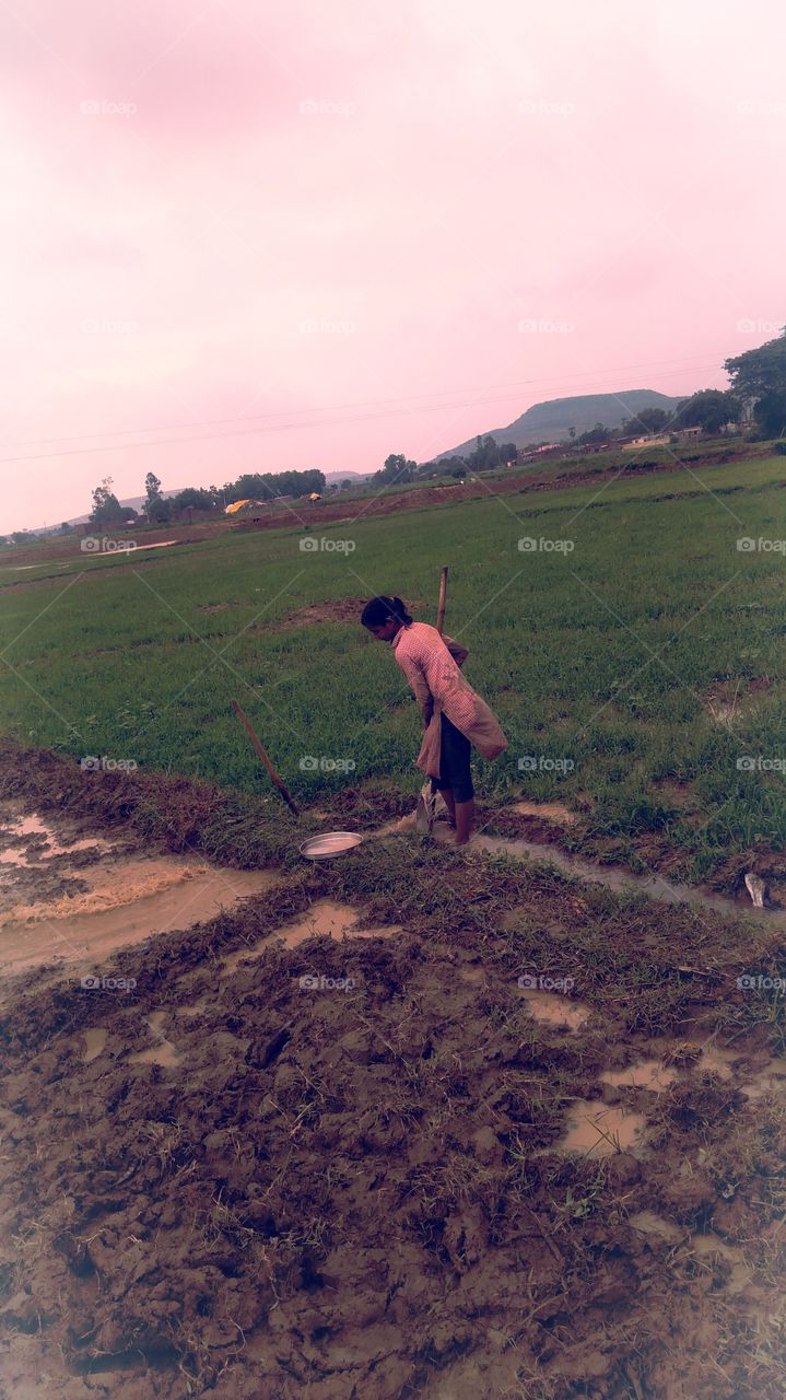 Kheti Bari India Chakia Chandauli