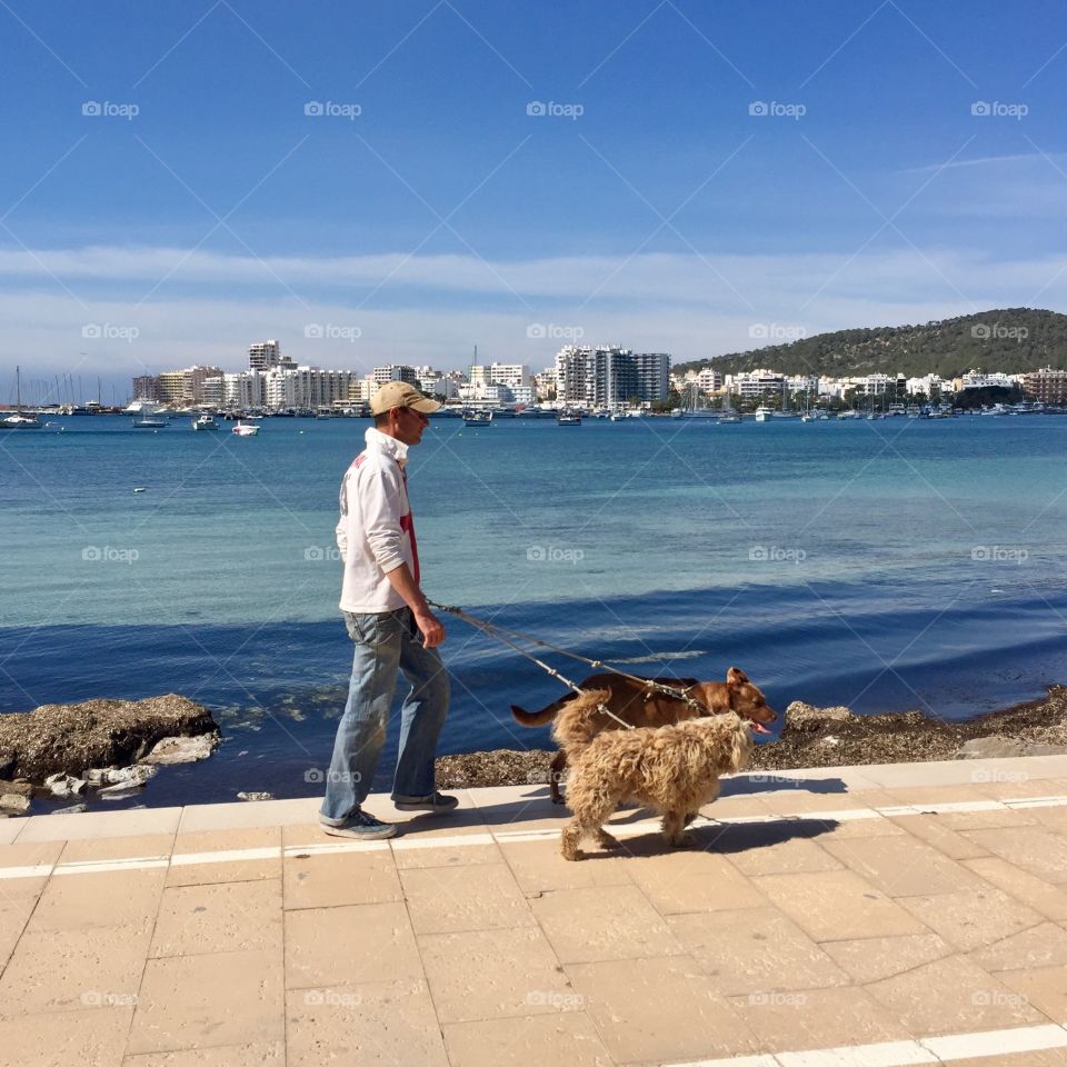 Man and two dogs 