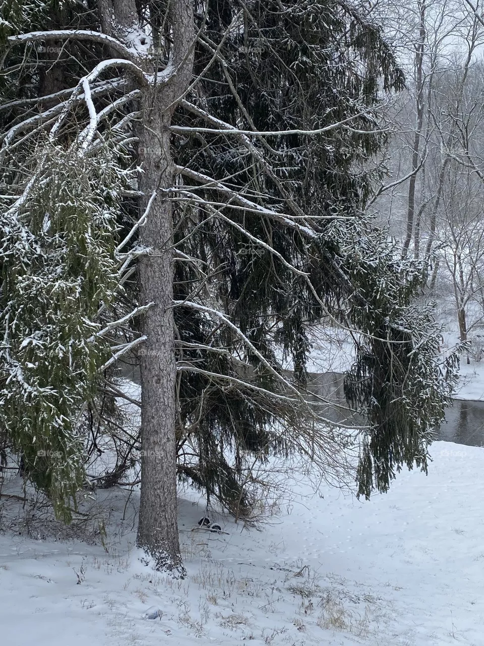 I love winter 