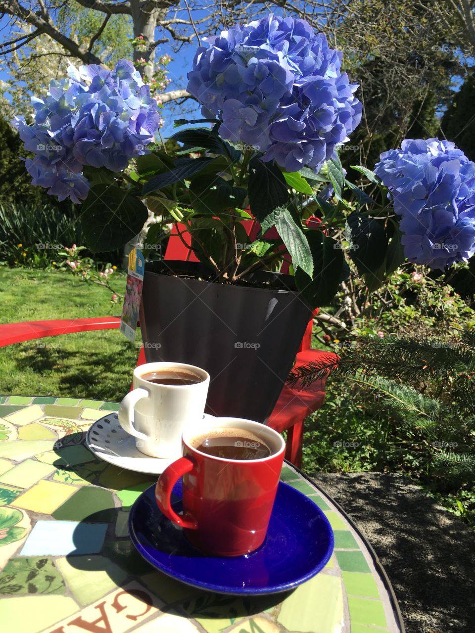 Enjoying coffee in the garden 