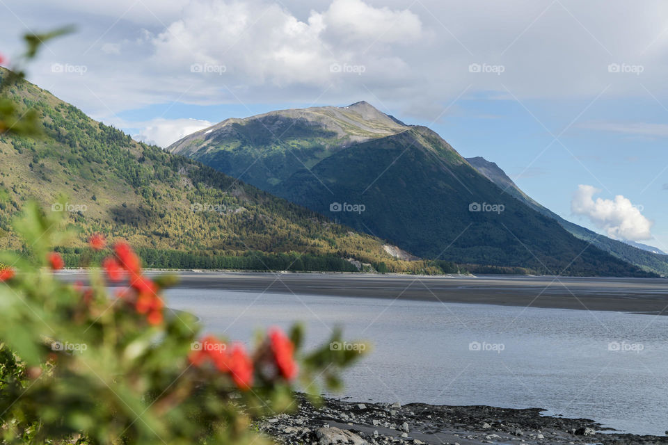 Mountain vista on 1 South Near Anchorage  Alaska