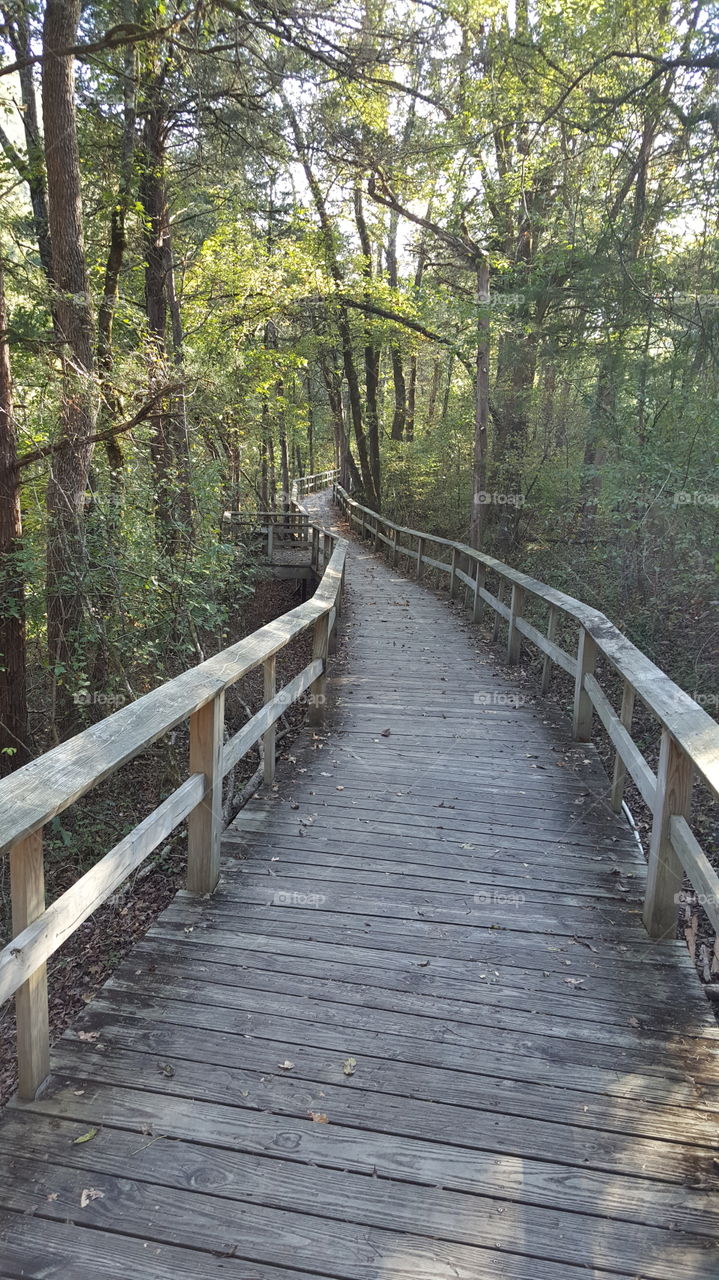 Boardwalk leading to Mirror Lake at Blanchard Springs Arkansas