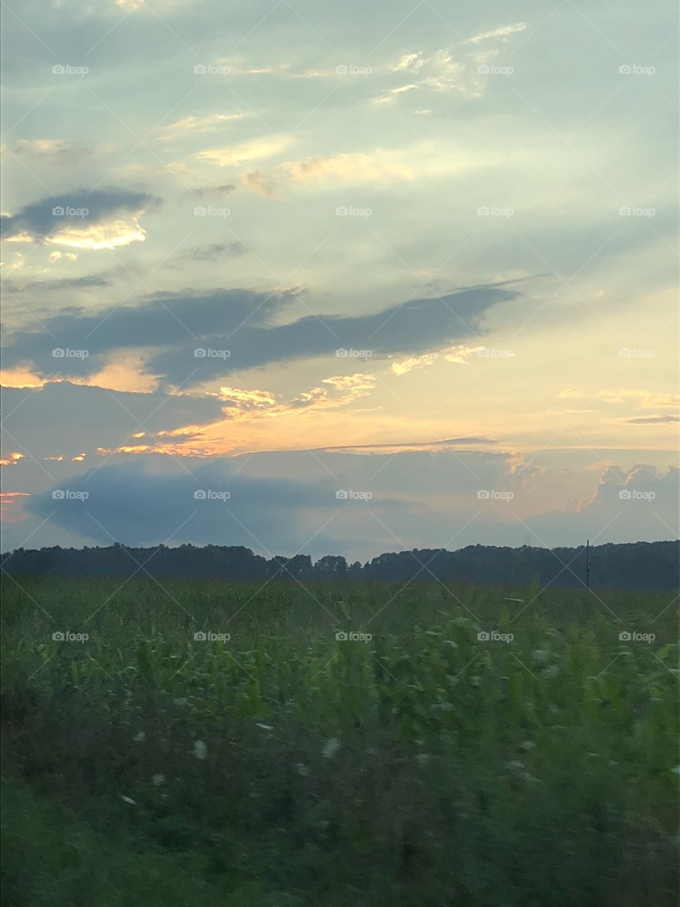sunset in Indiana 