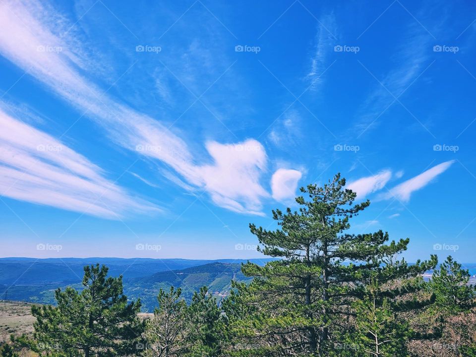 Scenic view of green hills against blue sky and Adriatic sea in Slovenia coast. Spring time