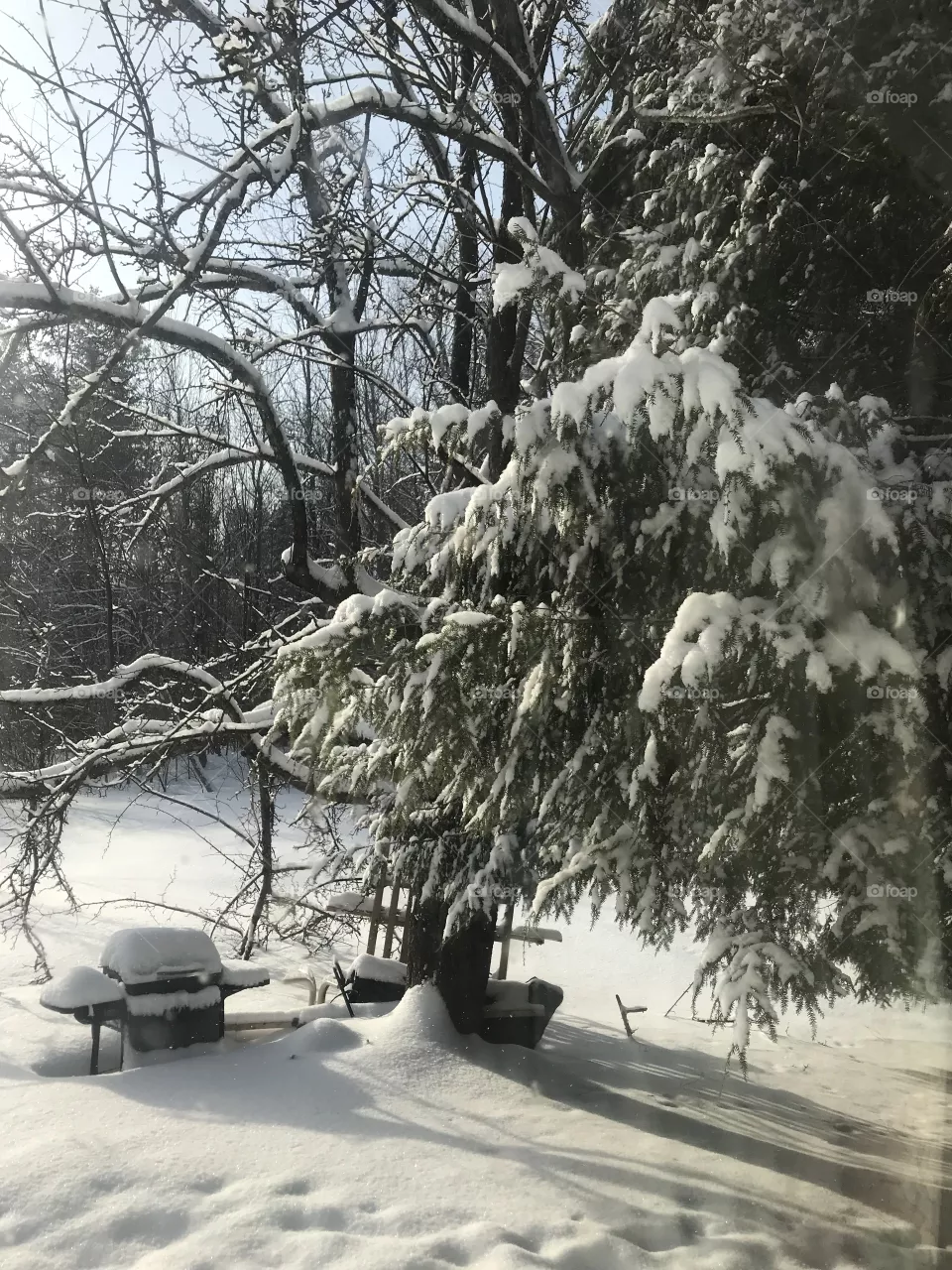 More snow