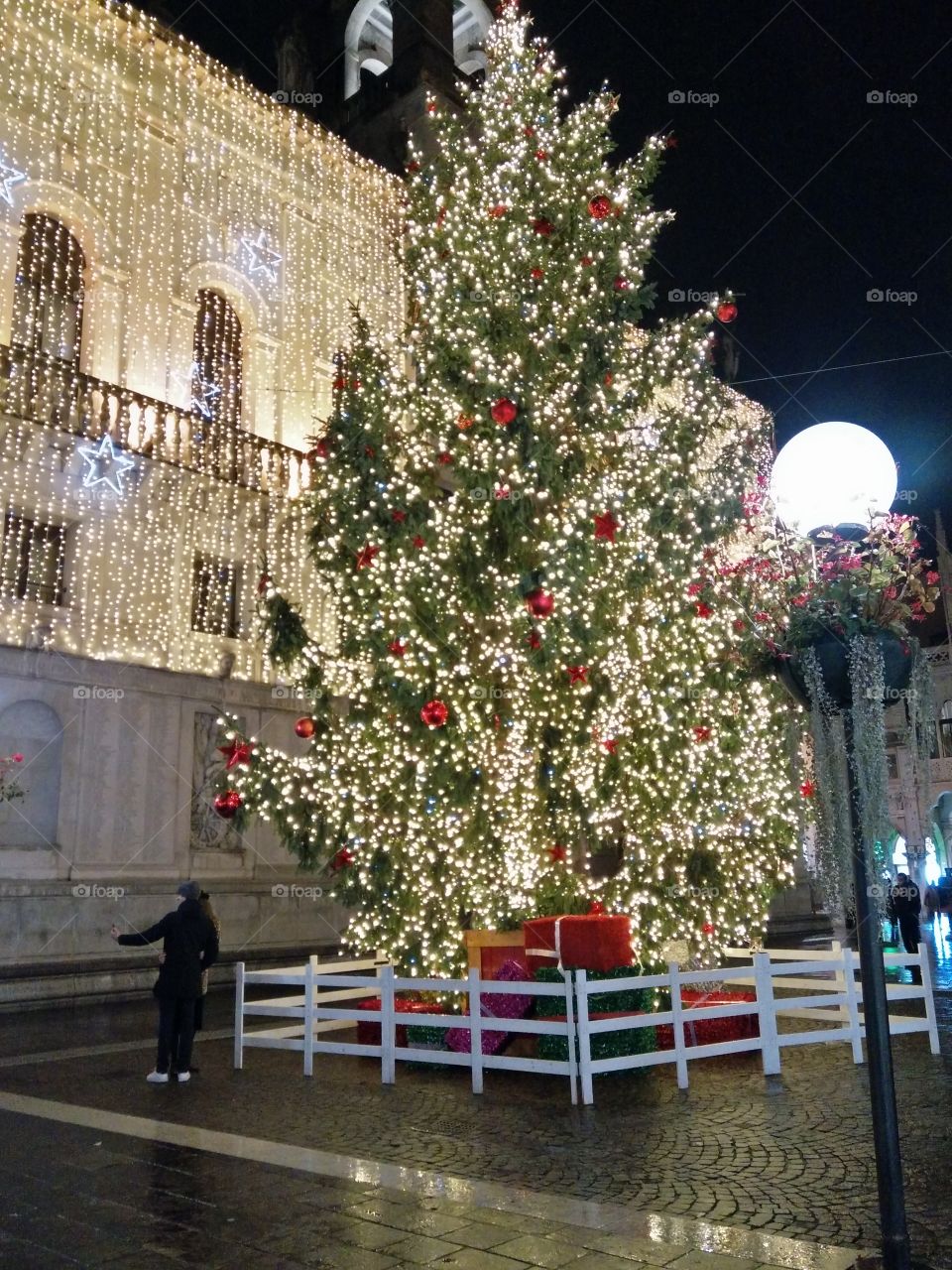 Christmas lights and tree in Padua italy city centre
