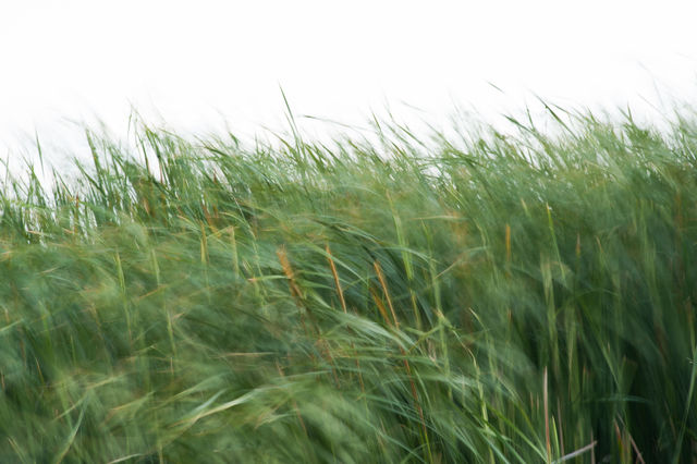 Feel the wind rushing through. MERCED