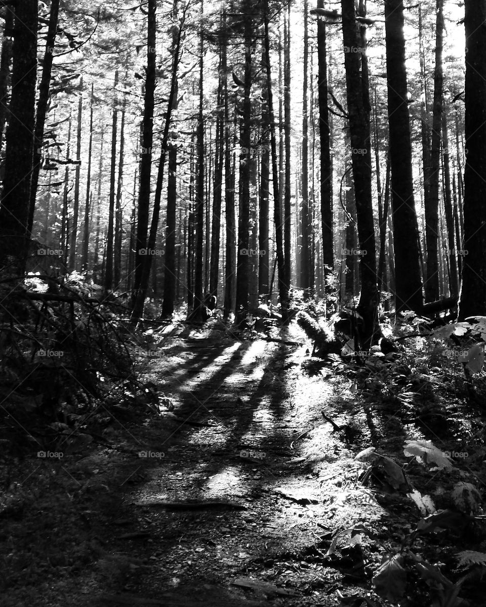 This Looks Serious But Everyone Peed Here. Sorry If That Ruins This For You.