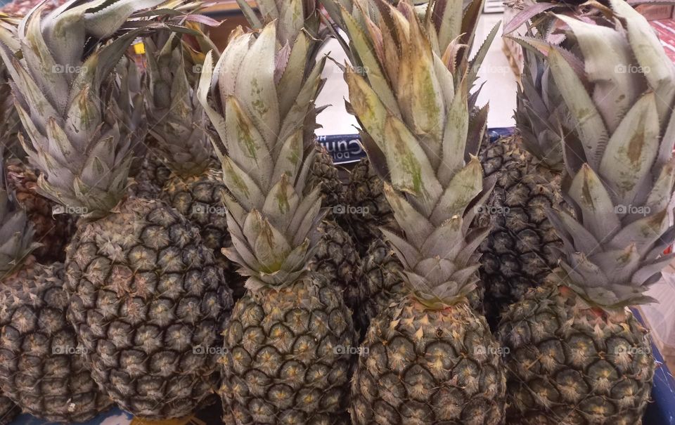 Abacaxi ou ananás  é uma infrutescência Tropical, caracterizada  como uma planta monocotiledônea da família das bromeliáceas, da subfamilia Bromelioideae. É um símbolo das regiões tropicais