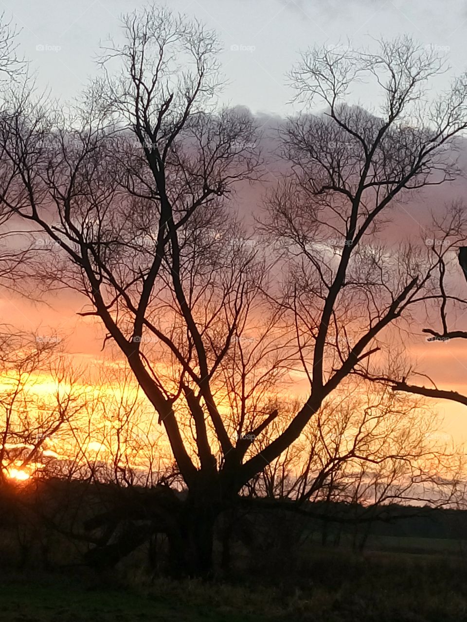 polish nature | sunset