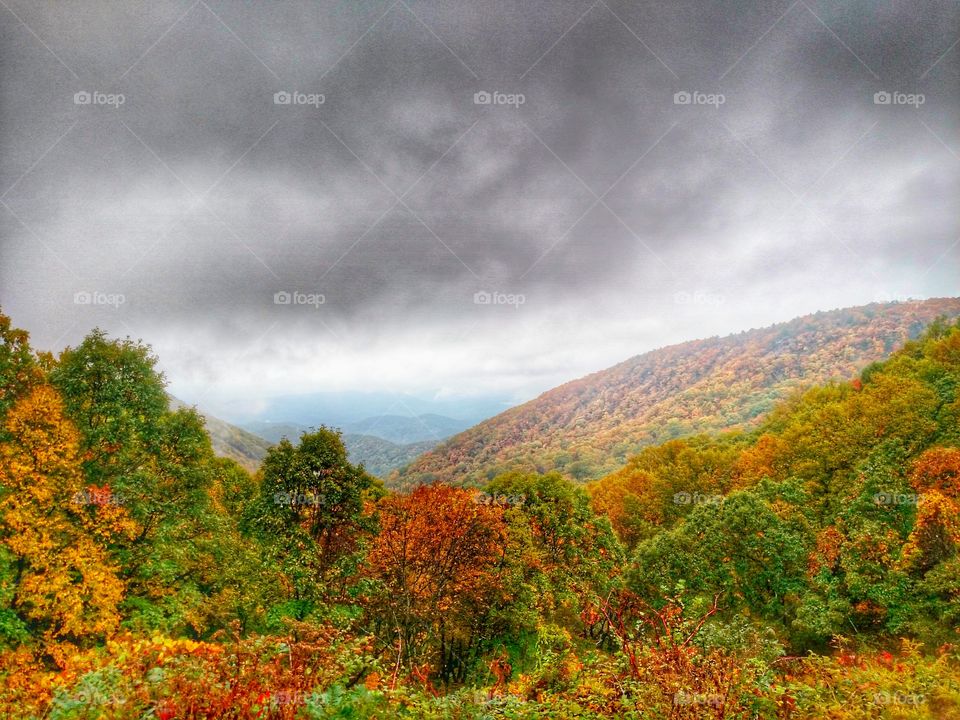blue ridge parkway fall. blue ridge parkway fall colors