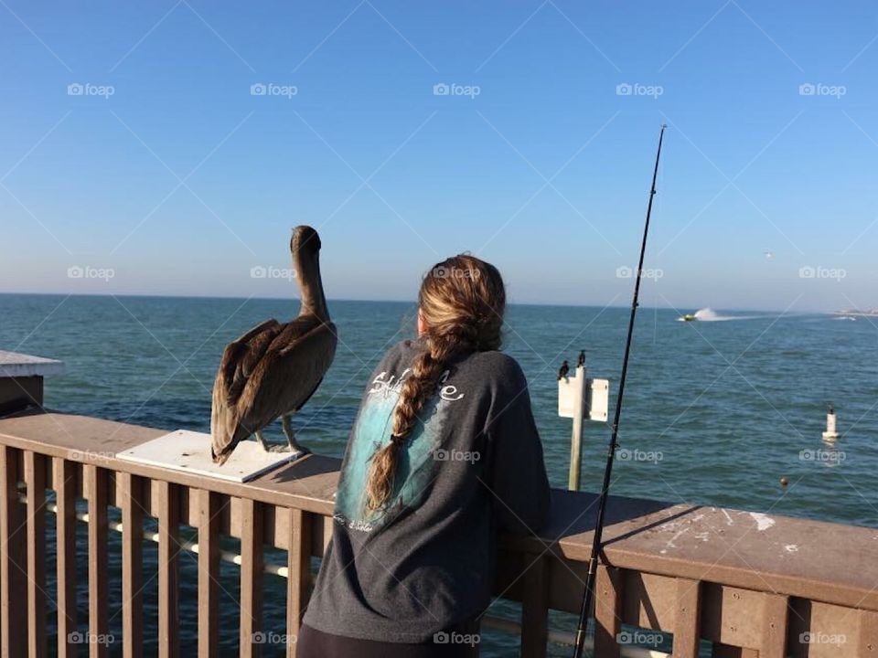 Clearwater beach Florida Pier Fishing and relaxing with a buddy
