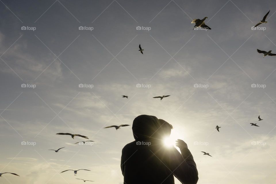 Man from behind surrounded by seagulls at sunset