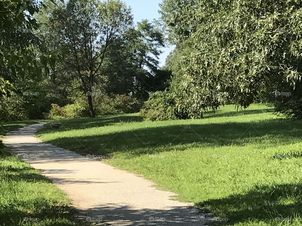 Path in a quiet park