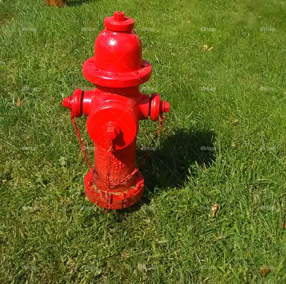 Bright Red Fire Hydrant
