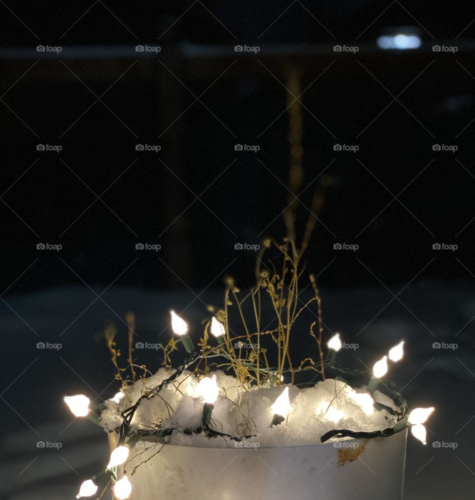 Light of hope, to grow again.