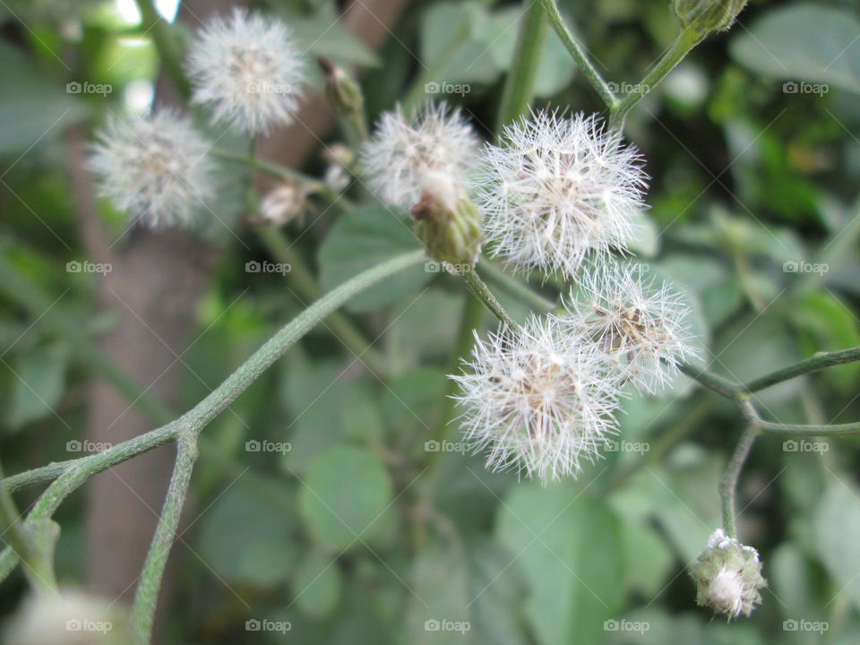 it's tooooooooo beautiful!!!!!;