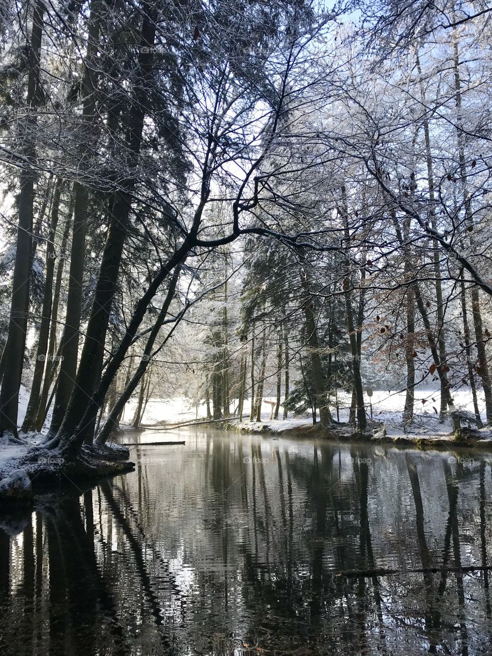 Steibachweiher 