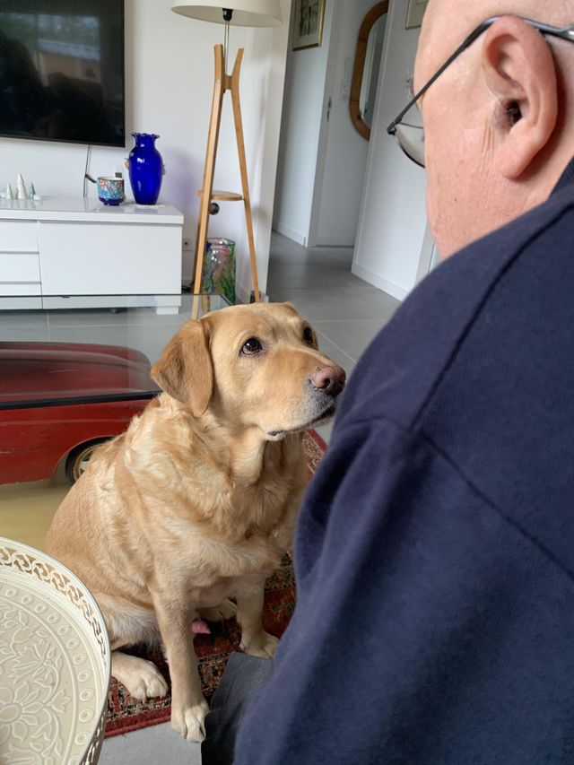 Giving Mission : Man’s Best Friend 