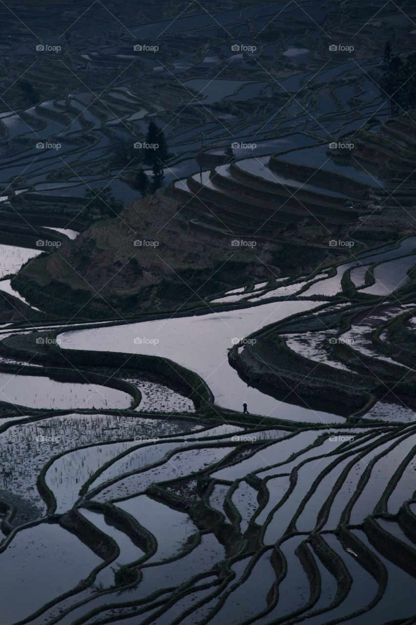 Yuanyang terraces 