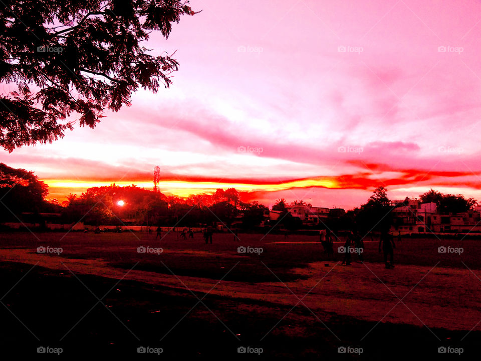 Amazing view of Sunset captured.Red blood sky,clouds moving through and the sun seen in middle of the trees,giving us a day end signal.