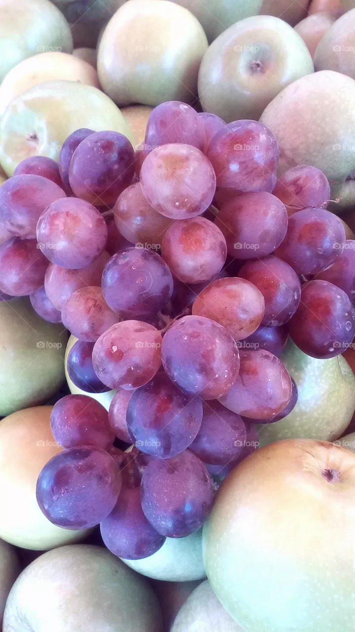 Fruit