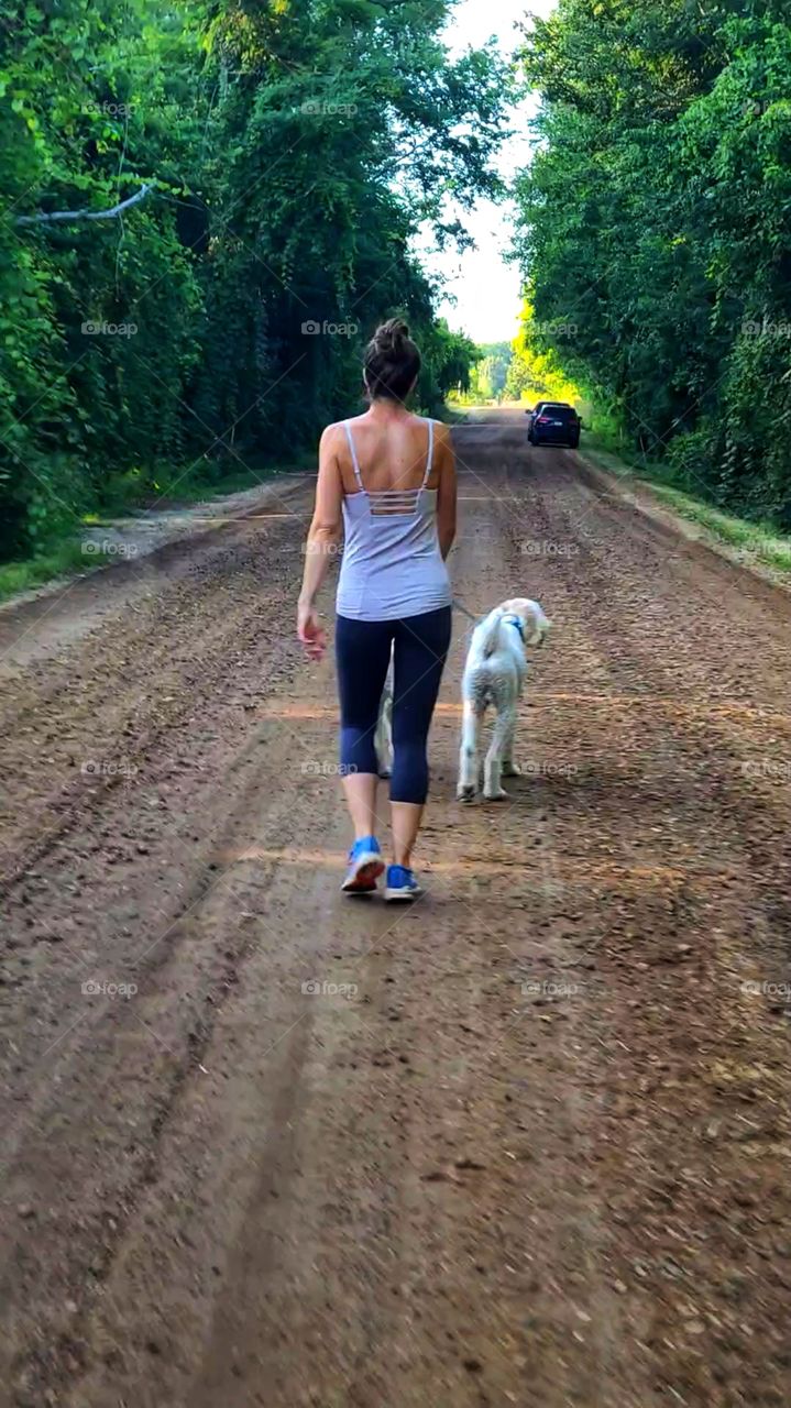 walking the dog on a country road