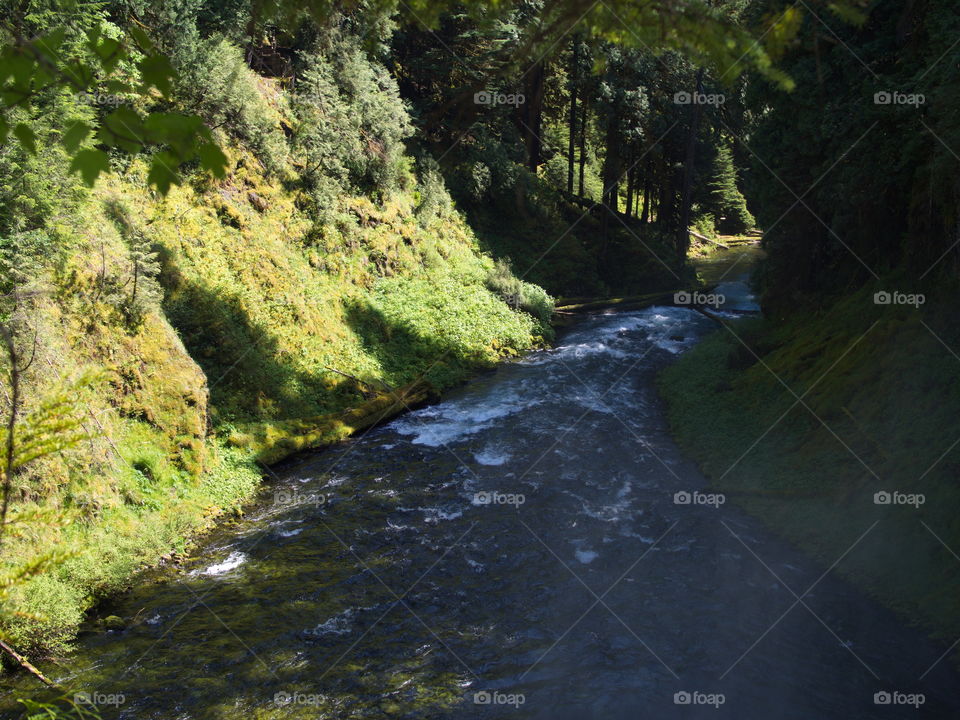 The beautiful waters of the McKenzie River in the forests of Oregon 