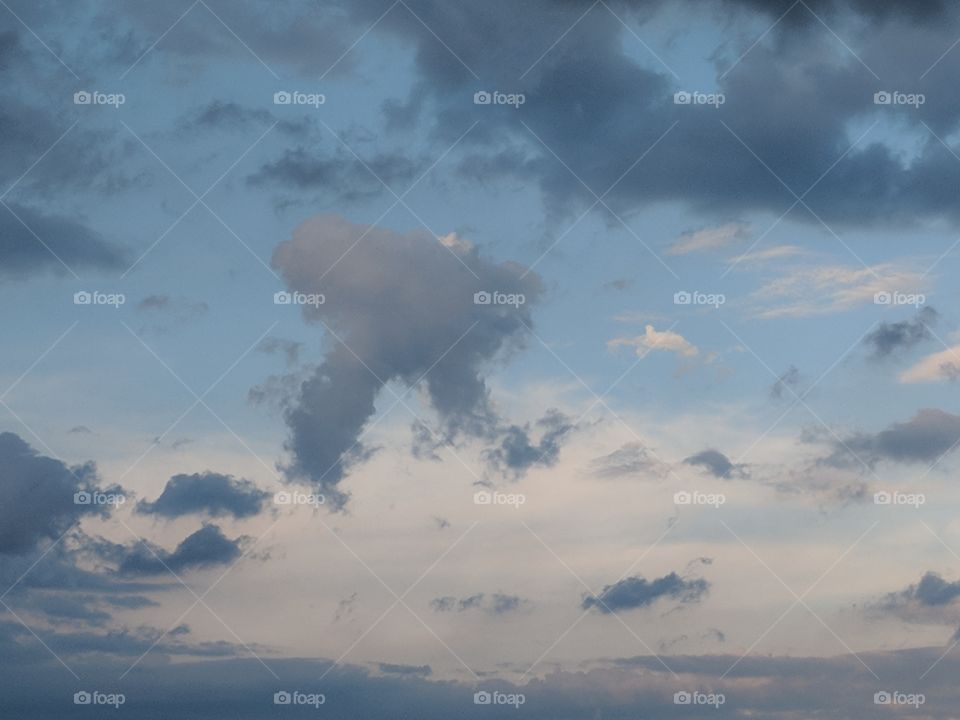 Cloud Scene