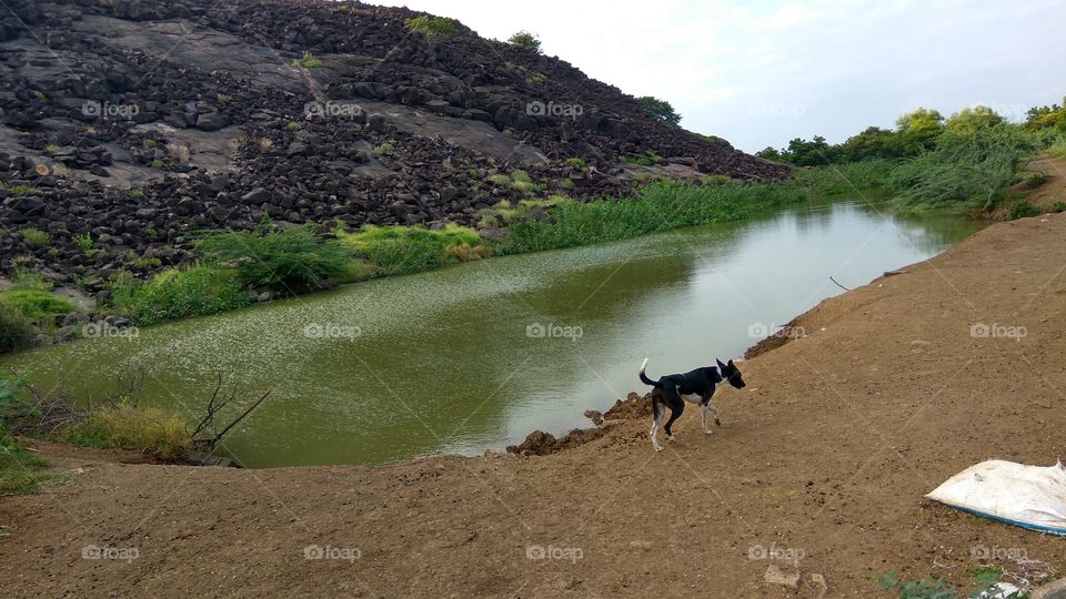 reflection of hill shade in water it's lovely  walking dog