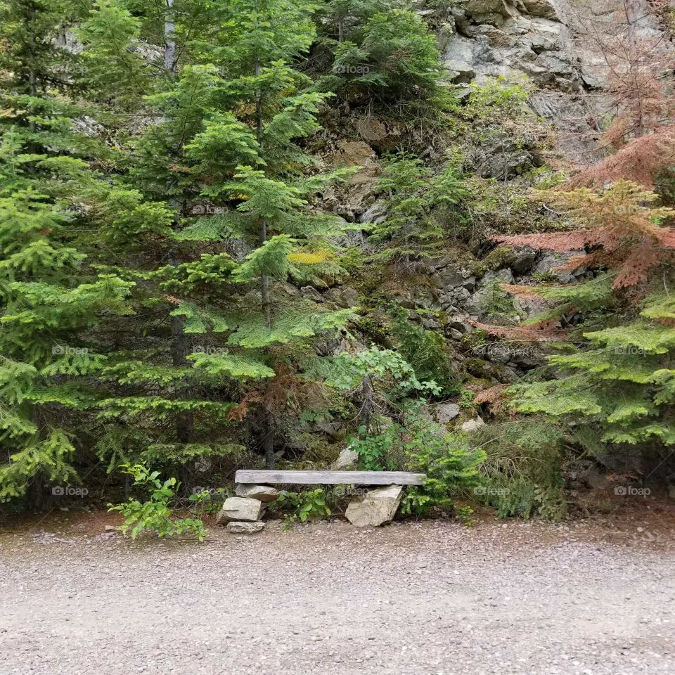rock and wood bench next to a rock mountain along a mountain trail foliage