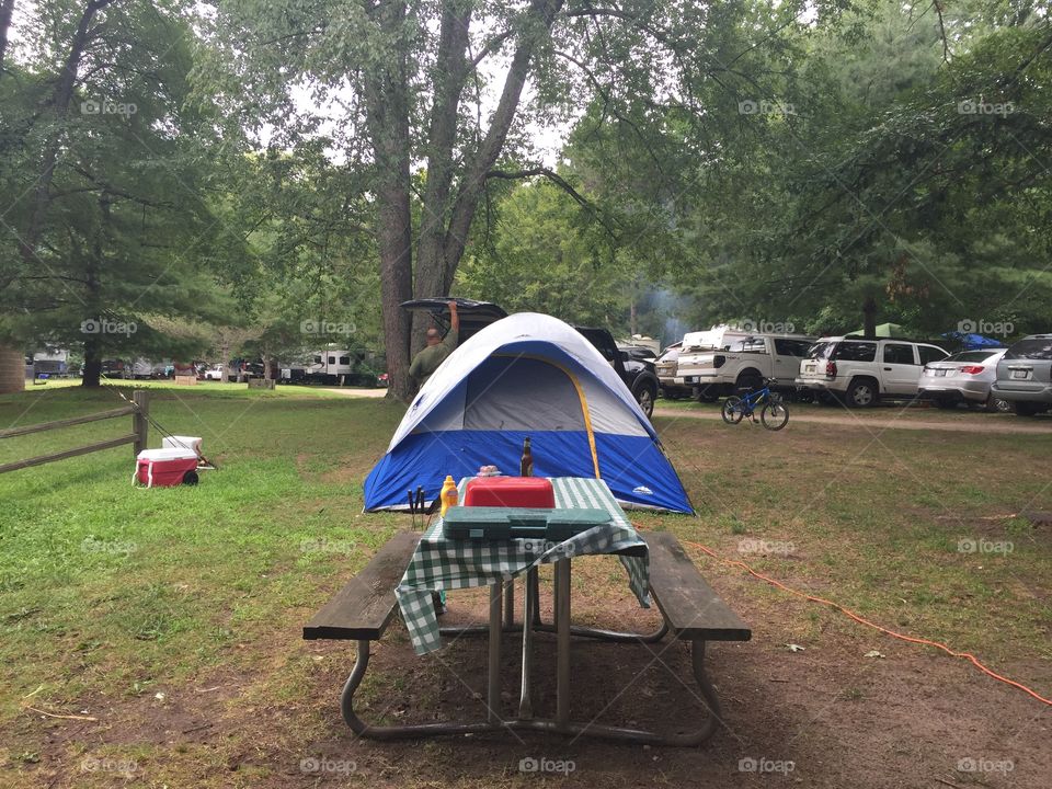 Campsite pure Michigan 