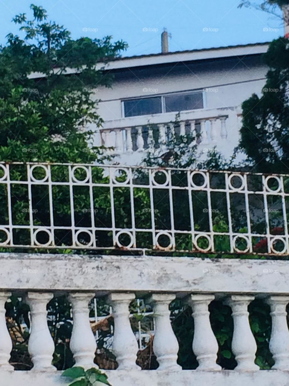 Circular Patterned Fence