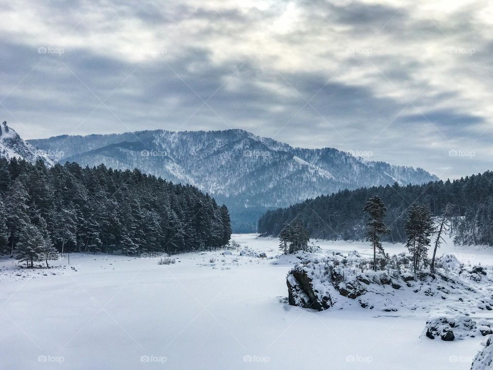 Winter landscape