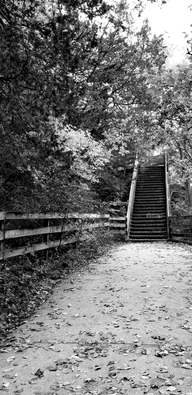 Starved rock staircase
