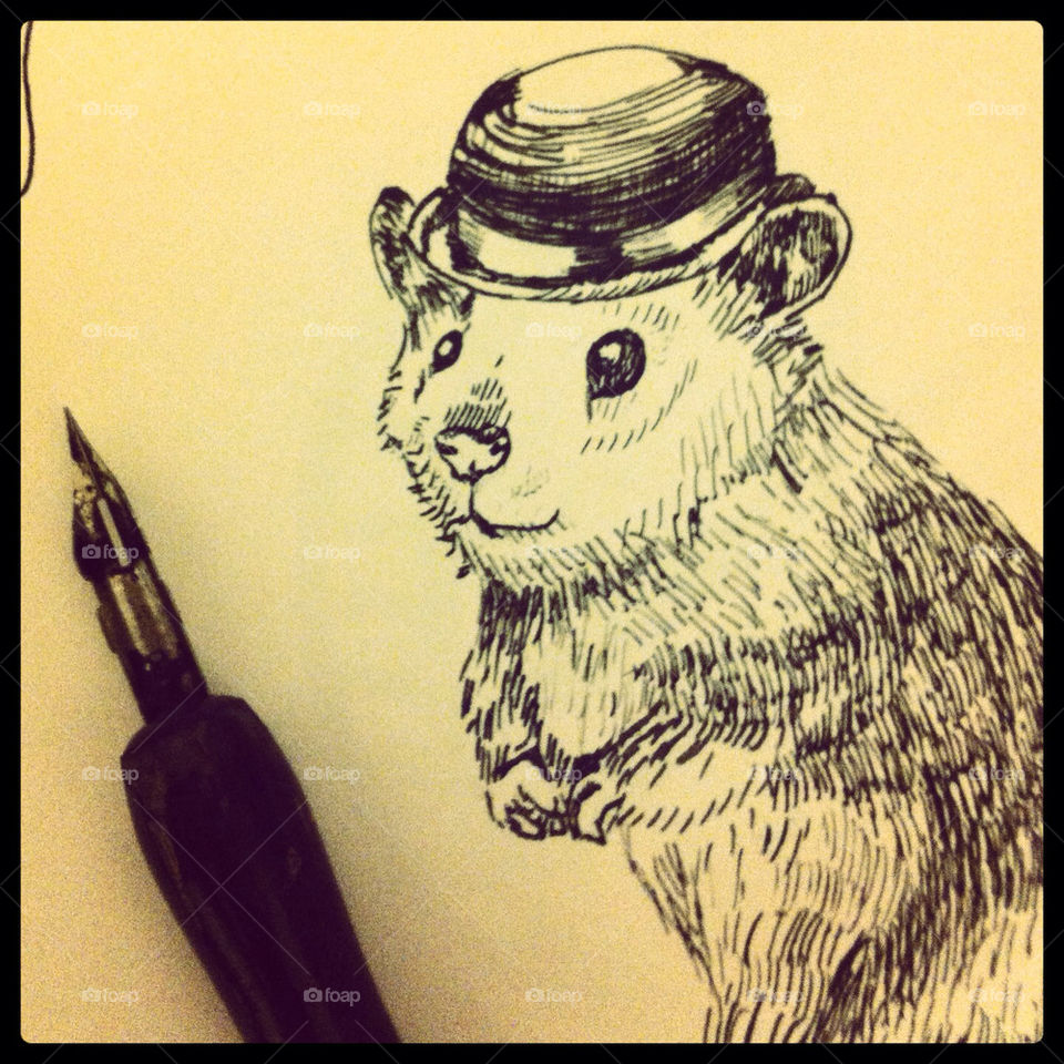 An illustration of a hamster that I made.